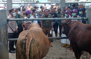 Pj Bupati Tulungagung Sidak Pasar Hewan Ngunut, Persiapan Hewan Kurban Memadai