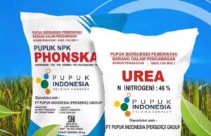 Petani Belum Ambil Pupuk Bersubsidi, Kadintan Tulungagung: Pupuk Aman