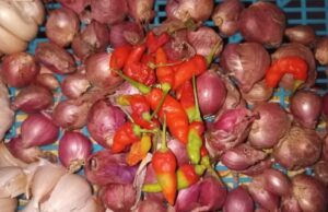 Kenaikan Harga Cabe Rawit di Tulungagung, Stok Beras Tetap Stabil