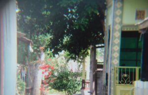 KANTOR PENERBIT LKS PJOK TIDAK TAMPAK SEPERTI KANTOR PENERBIT