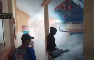 Dinkes Tulungagung Prediksi Peningkatan Angka Kematian Akibat Demam Berdarah di 2025