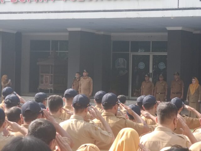 f3381e74-1689-4cba-af89-2092fd944a75