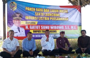 Dukung Swasembada Beras, Bupati Tulungagung Usulkan 168 Hektar Sawah Mendapat Bantuan Pemerintah Pusat