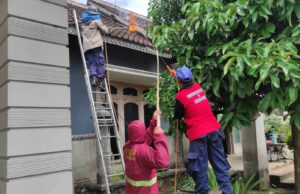 Damkar Tulungagung Kewalahan Tangani Tawon Vespa