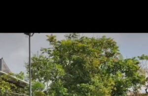 NY. ARI MUHAMMAD TAAT & NY. DELLEN ARIE TAUFAN, BERLATIH TENIS DENGAN PENUH SEMANGAT