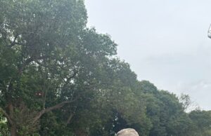 TUJUH ATLET TULUNGAGUNG DI PANGGIL UNTUK MENGIKUTI KEJURNAS ATLETIK DI SOLO