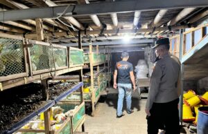 Ratusan Warga Wonorejo Tulungagung Resah, Peternakan Ayam Diduga Tak Berizin Cemari Lingkungan