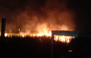 Sempat Bikin Panik hingga Warga Basahi Mandiri Gegara Kebakaran Lahan Tebu Belakang Perumahan Grand Kencana I Mojokerto