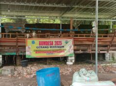 Program Ketahanan Pangan Desa Gebangngangkrik Ngimbang Lamongan Melalui BUMDESA Optimis Untuk Budidaya Ternak Kambing.