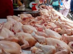 Mojokerto Catat Deflasi di Februari 2026, Harga Daging Ayam di Pasar Kedungmaling Justru Naik jadi Rp 41 Ribu