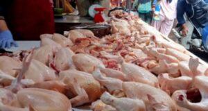 Mojokerto Catat Deflasi di Februari 2026, Harga Daging Ayam di Pasar Kedungmaling Justru Naik jadi Rp 41 Ribu