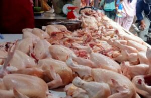 Mojokerto Catat Deflasi di Februari 2026, Harga Daging Ayam di Pasar Kedungmaling Justru Naik jadi Rp 41 Ribu