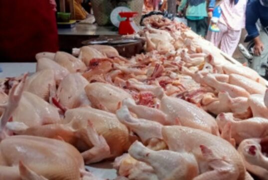 Mojokerto Catat Deflasi di Februari 2026, Harga Daging Ayam di Pasar Kedungmaling Justru Naik jadi Rp 41 Ribu