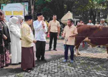 Kakanwil BPN Jatim Serahkan Hewan Qurban