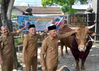 Hewan Kurban Sapi Dari Presiden RI Prabowo Subianto, Diserahkan Plt Bupati Tulungagung Ke Masjid Besar Syariful Muttaqin Boyolangu
