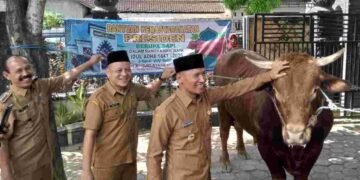 Hewan Kurban Sapi Dari Presiden RI Prabowo Subianto, Diserahkan Plt Bupati Tulungagung Ke Masjid Besar Syariful Muttaqin Boyolangu