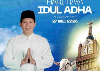 Elementor #3894