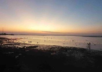 Pesona Sore Aola Pantura Lamongan: Panduan Wisata Kuliner Tepi Pantai dengan Bujet Terjangkau di Jalur Daendels