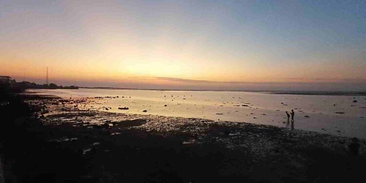Pesona Sore Aola Pantura Lamongan: Panduan Wisata Kuliner Tepi Pantai dengan Bujet Terjangkau di Jalur Daendels