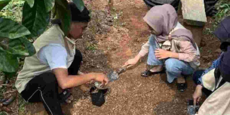 Perkuat Rantai Pasok Kopi Lokal Mojokerto, Mahasiswa KKN Dampingi Proses Edukasi Pembibitan dan Sortir Biji Kopi