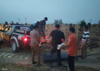 Polres Lamongan Tangani Dua Penemuan Jenazah Mendadak di Persawahan Laren dan Hutan Bluluk