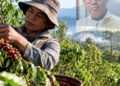 DARI BIBIT KE ALGORITMA : JALAN PANJANG MENUJU REVOLUSI KOPI INDONESIA (Bagian Ketiga).