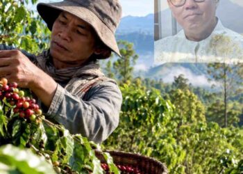 DARI BIBIT KE ALGORITMA : JALAN PANJANG MENUJU REVOLUSI KOPI INDONESIA (Bagian Ketiga).