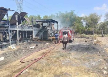 Imbas Kebakaran Kandang di Mantup Lamongan, 12 Ribu Anak Ayam Tak Terselamatkan