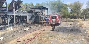Imbas Kebakaran Kandang di Mantup Lamongan, 12 Ribu Anak Ayam Tak Terselamatkan