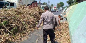Truk Tronton Kelebihan Muatan Tebu, Polsek Babat Respons Cepat Laporan Call Center 110