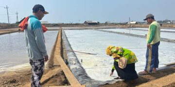 Produksi Garam Capai 1,3 Ribu Ton Per Agustus, Optimis Capai Target pada Tribulan IV