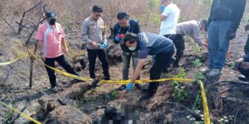 Tulang Belulang Mr X Ditemukan di Hutan Tenggerejo, Polres Lamongan Lakukan Identifikasi