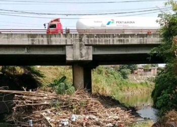 Takut Erosi atau Banjir, Warga Keluhkan Rumpun Pohon Bambu atau Barongan Ori Nyangkut di Tiang Jembatan Brangkal Mojokerto