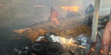 Gerak Cepat Polsek dan Damkar Padamkan Kebakaran Gudang Hasil Tani di Desa Ganggangtingan Lamongan
